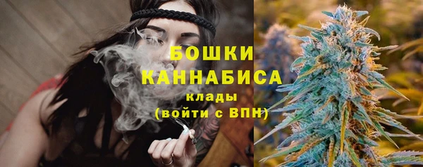 PSILOCYBIN Магас