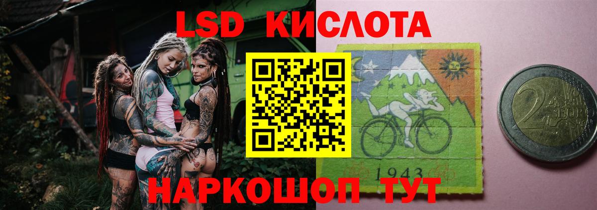 МЕФ Топки