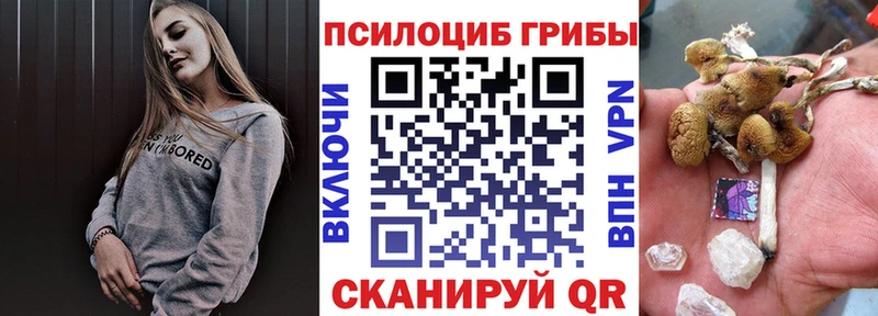 это как зайти  Топки  Псилоцибиновые грибы мицелий 