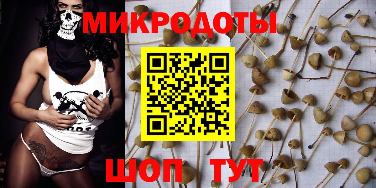 Псилоцибиновые грибы Magic Shrooms Топки
