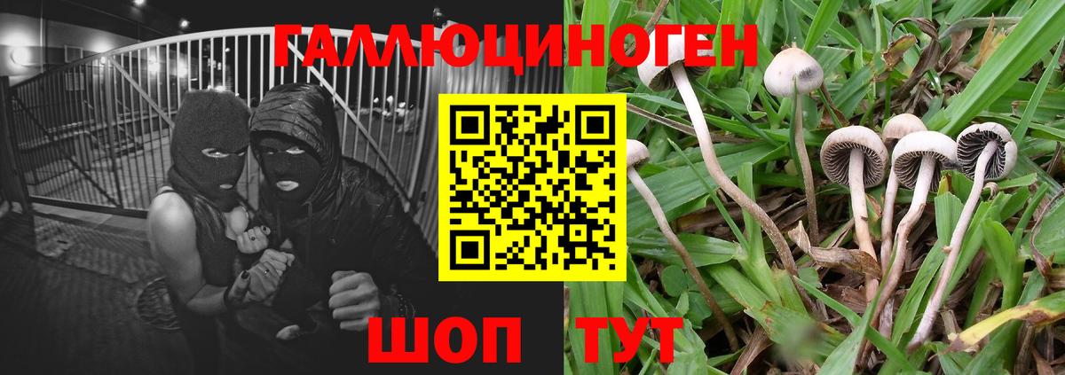 Псилоцибиновые грибы мицелий  Вход с VPN  Галлюциногенные грибы Psilocybine cubensis  Топки 