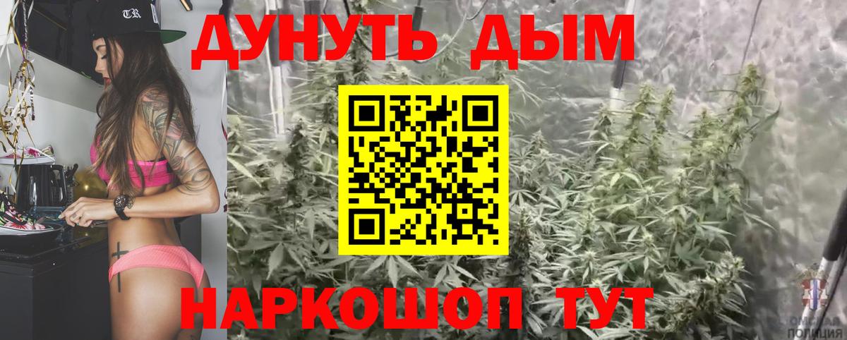 Топки  Конопля ГИДРОПОН  Канабис OG Kush  Шишки марихуана планчик  Вход с VPN 